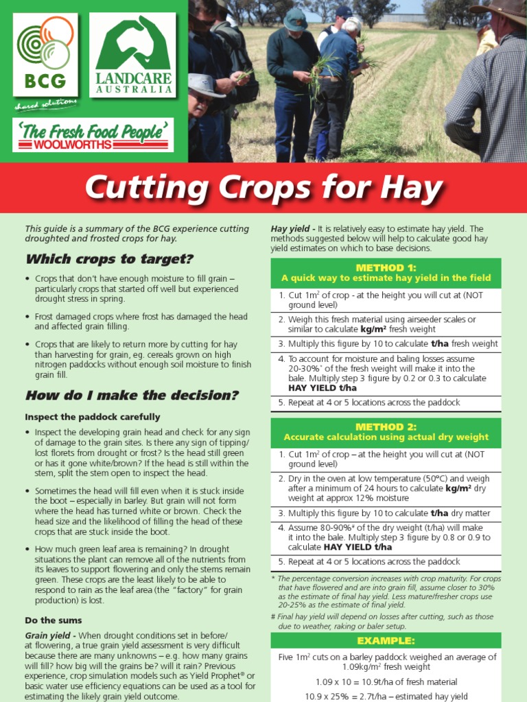 Coloured Cutting Hay Factsheet2008 | PDF | Hay | Cereals