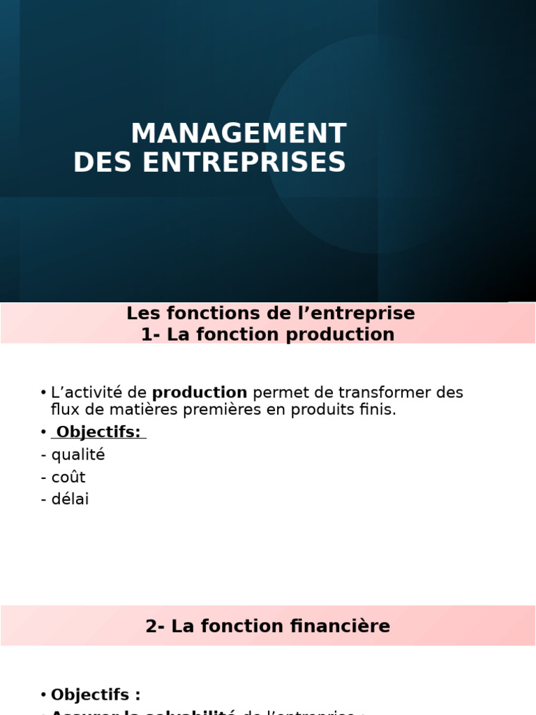 Management Des Entreprises | PDF | Business | Planification
