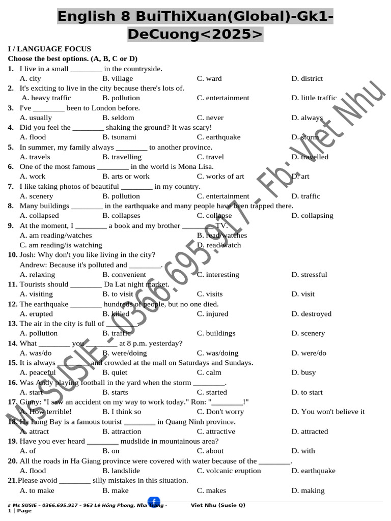 English 8 Language Focus Exercises | PDF