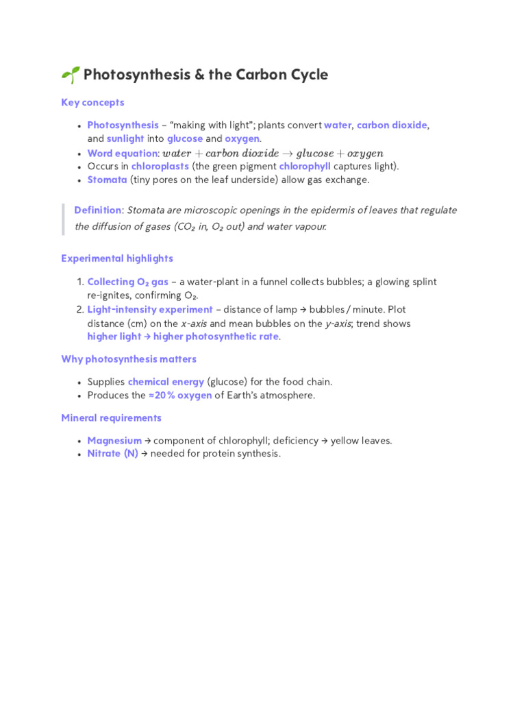 Photosynthesis and Carbon Cycle Overview | PDF | Photosynthesis ...