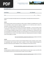 teste torico prático