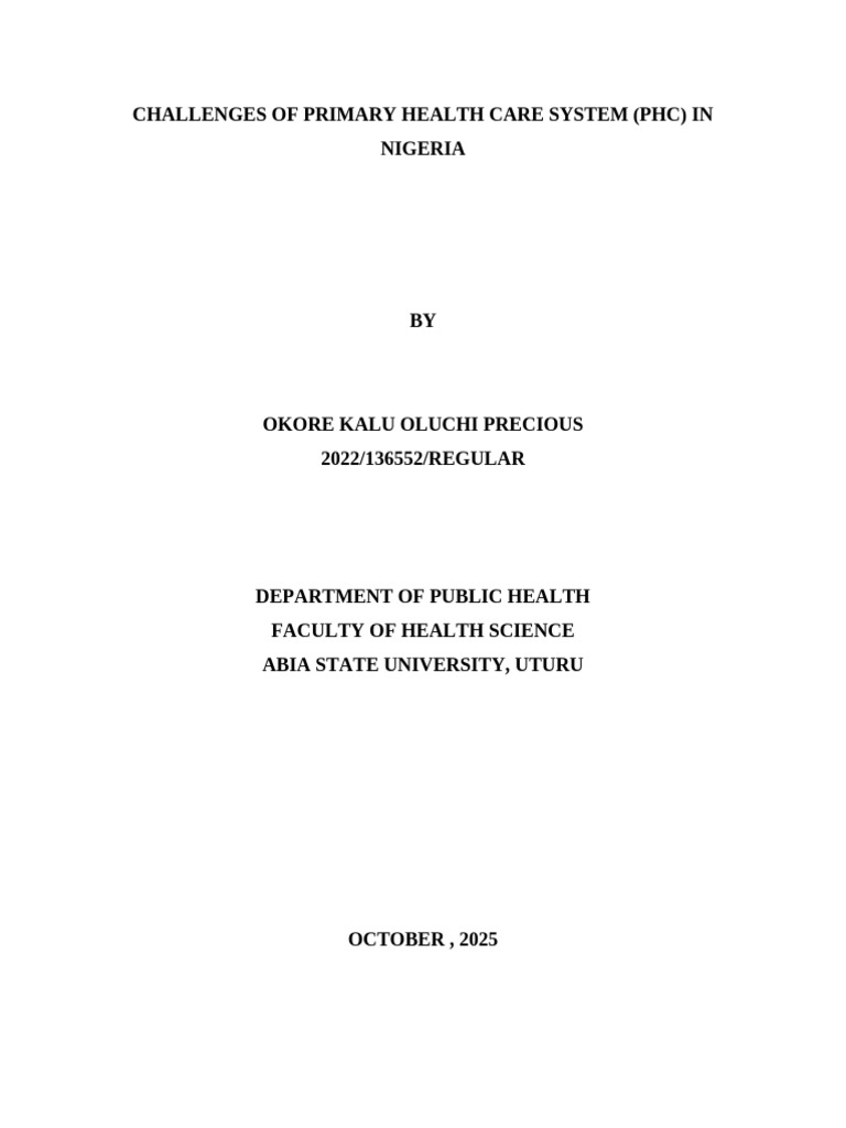 Primary Health Care Challenges in Nigeria | PDF | Health Care | Health ...