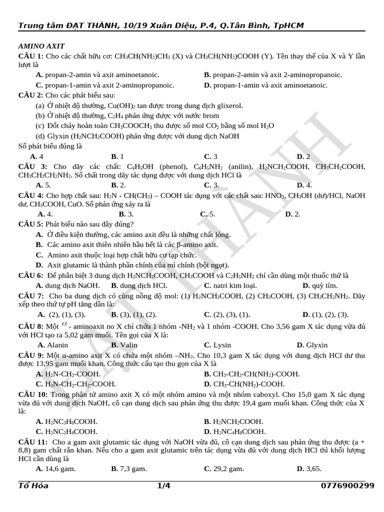 Amin 2 PDF