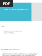 SAP Project Phases Explained | PDF | Systems Engineering | Computing