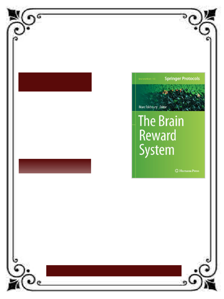 The Brain Reward System 1st Edition Marc Fakhoury Ebook Downloadable ...