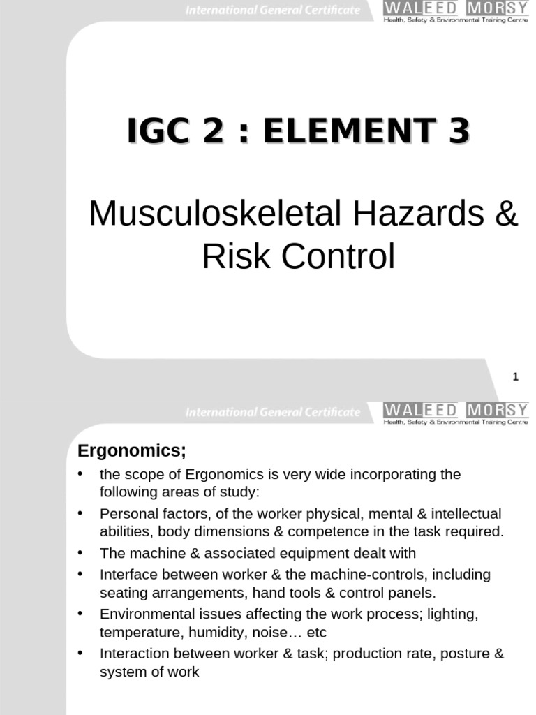 IGC2 Element 3 Muscluskeletal | PDF