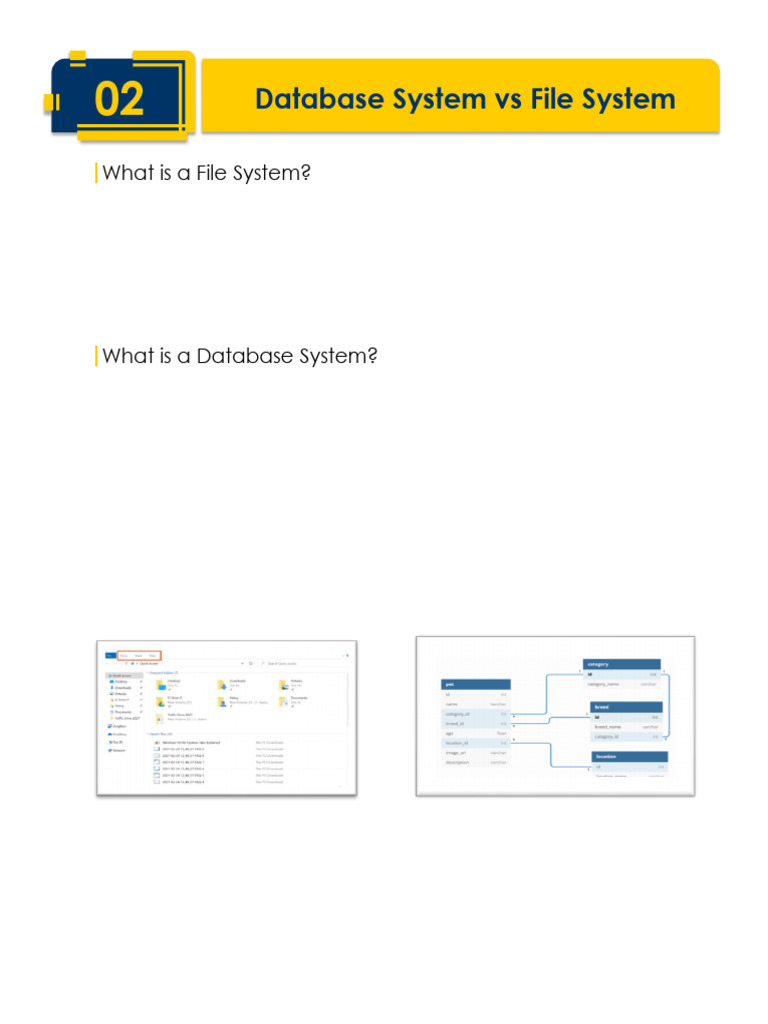 File System vs Database System Explained | PDF | Databases | Computer File