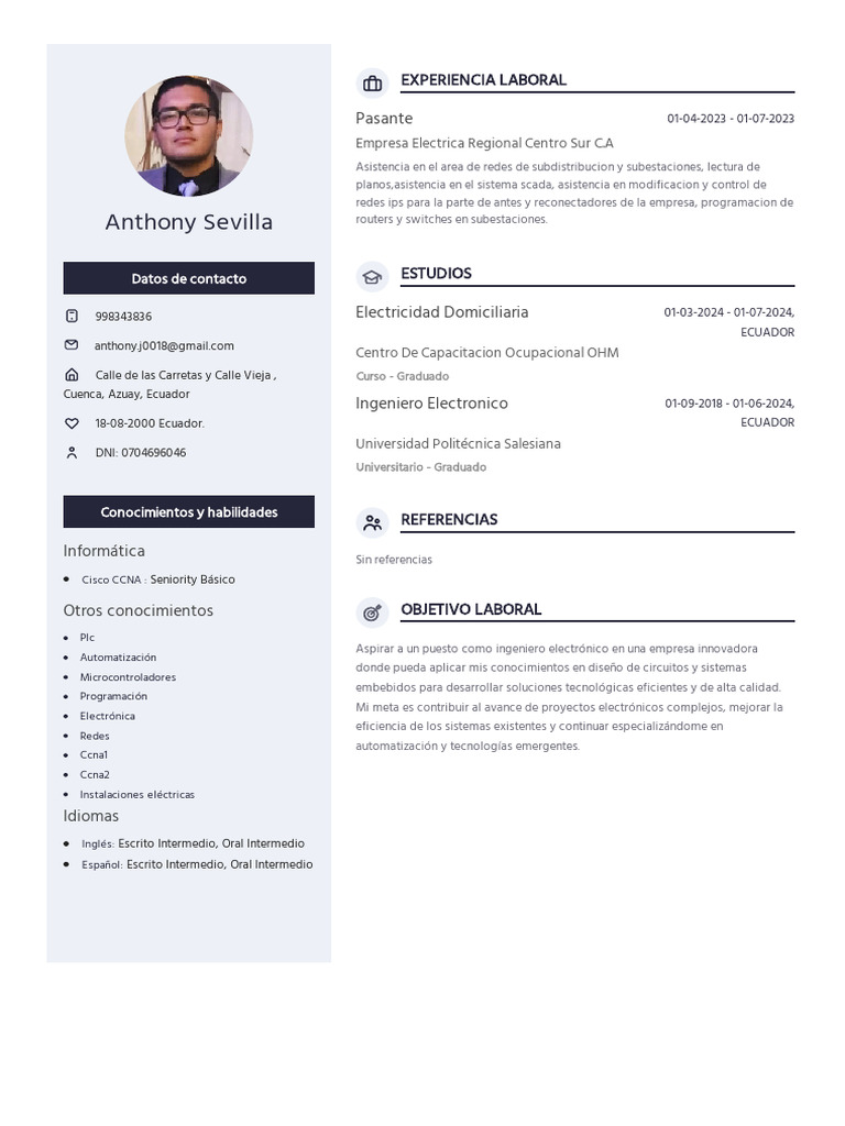 Perfil Profesional de Ingeniero Electrónico | PDF | Informática ...