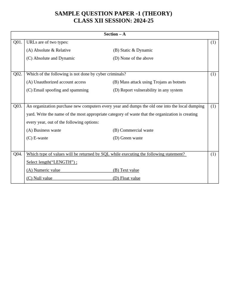 Sample Paper 2024-25 (1) | PDF | Computing