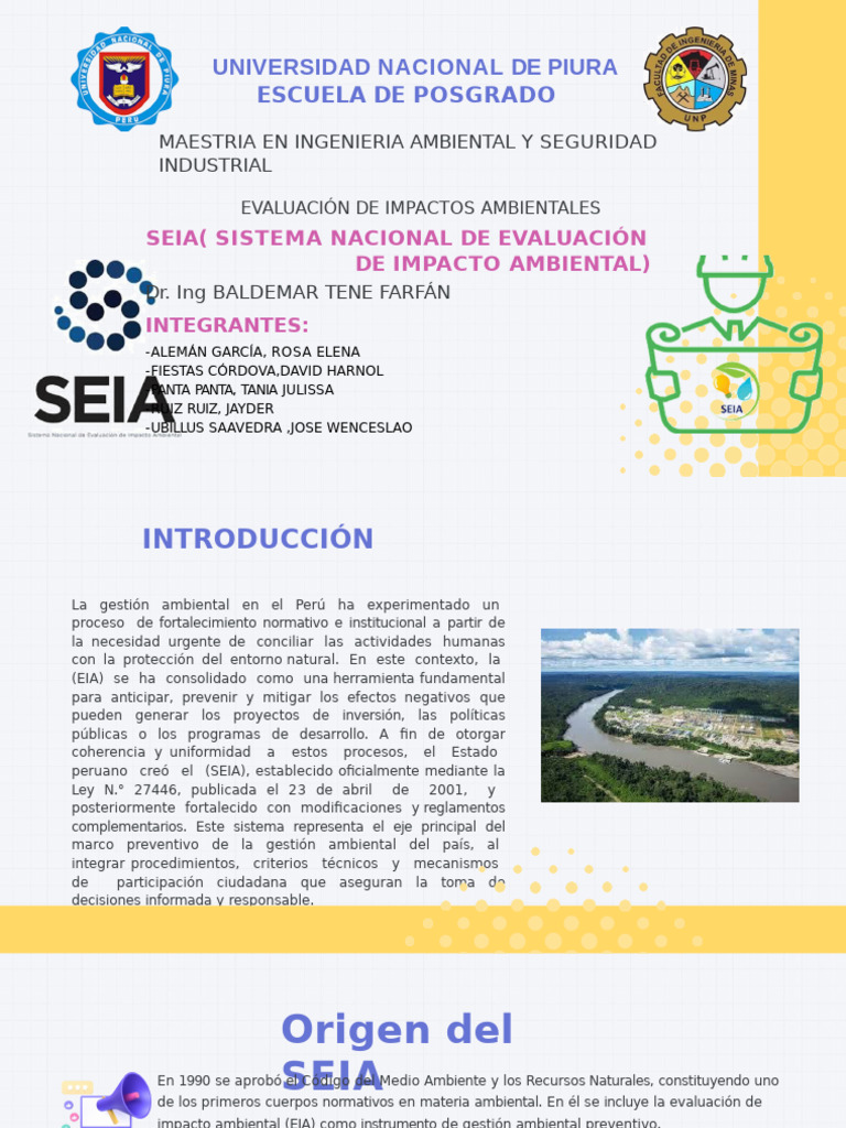 Evaluación del SEIA en Perú: Impacto Ambiental | PDF | Evaluación de ...