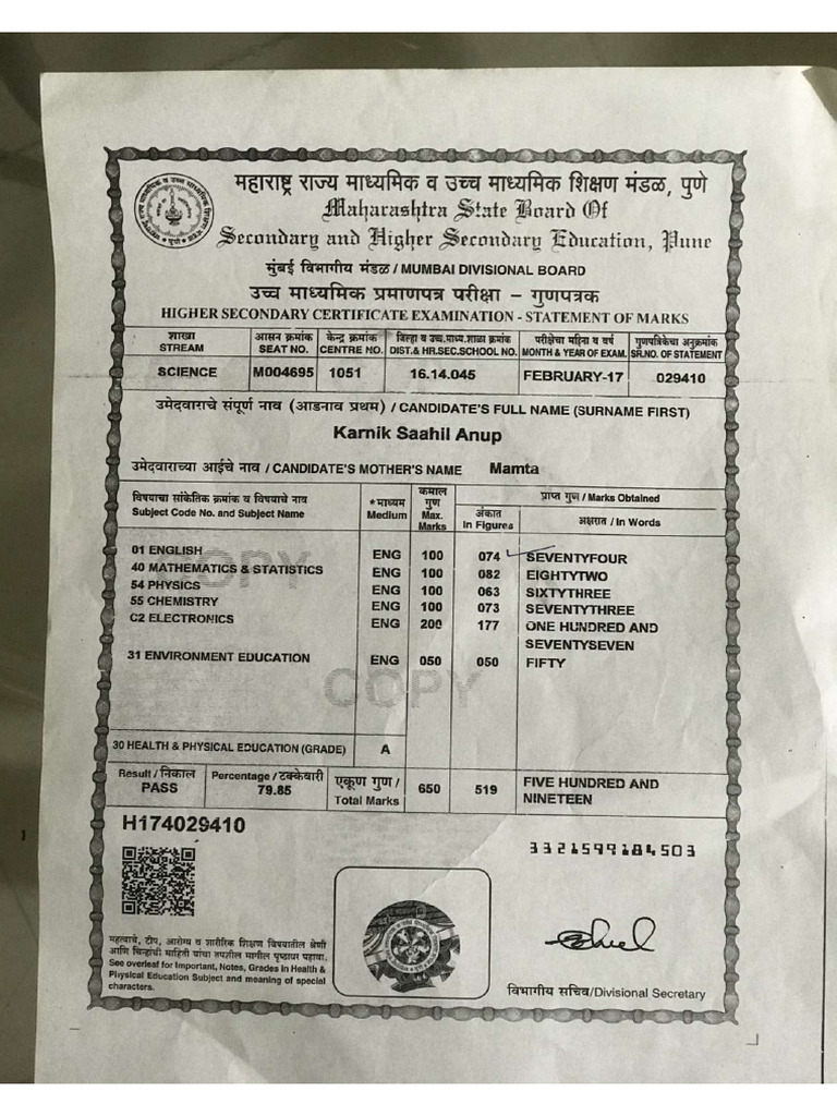 STD 12 Marksheet | PDF