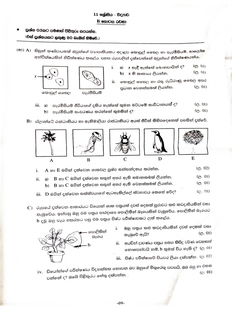 Paper 01 | PDF