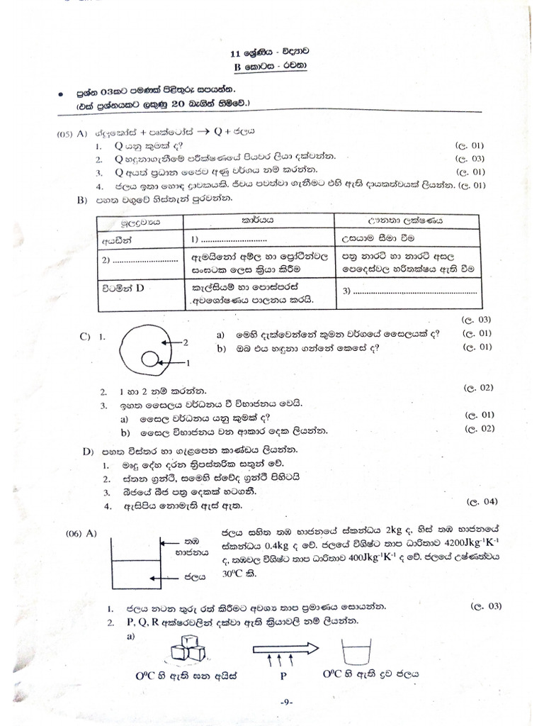 Paper 2 | PDF