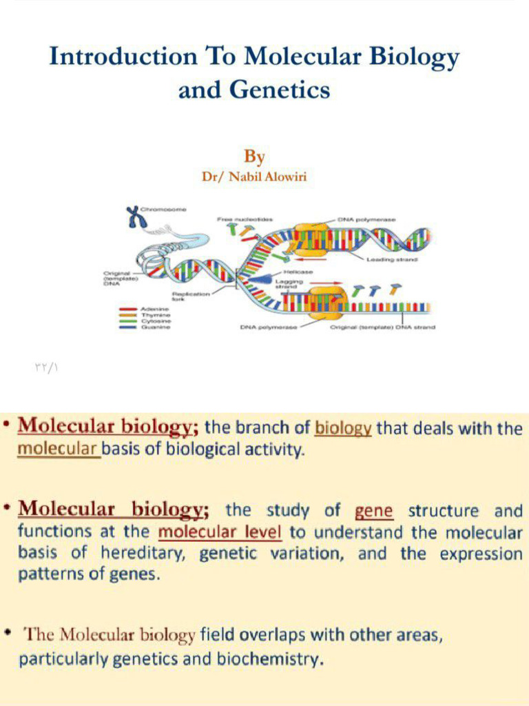 Genetic 1 | PDF