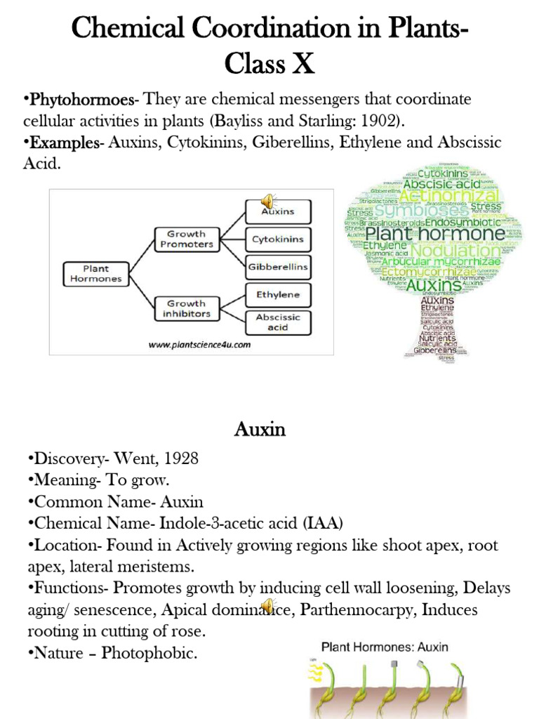 Chemical Coordination in Plants 2020 Bio | PDF