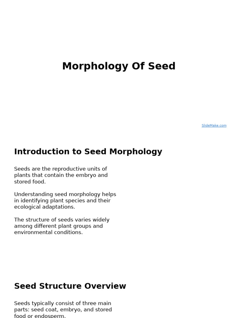 Morphology Of Seed | PDF | Seed | Plant Reproduction