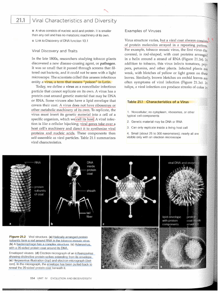 2021 Virus Textbook Reading | PDF