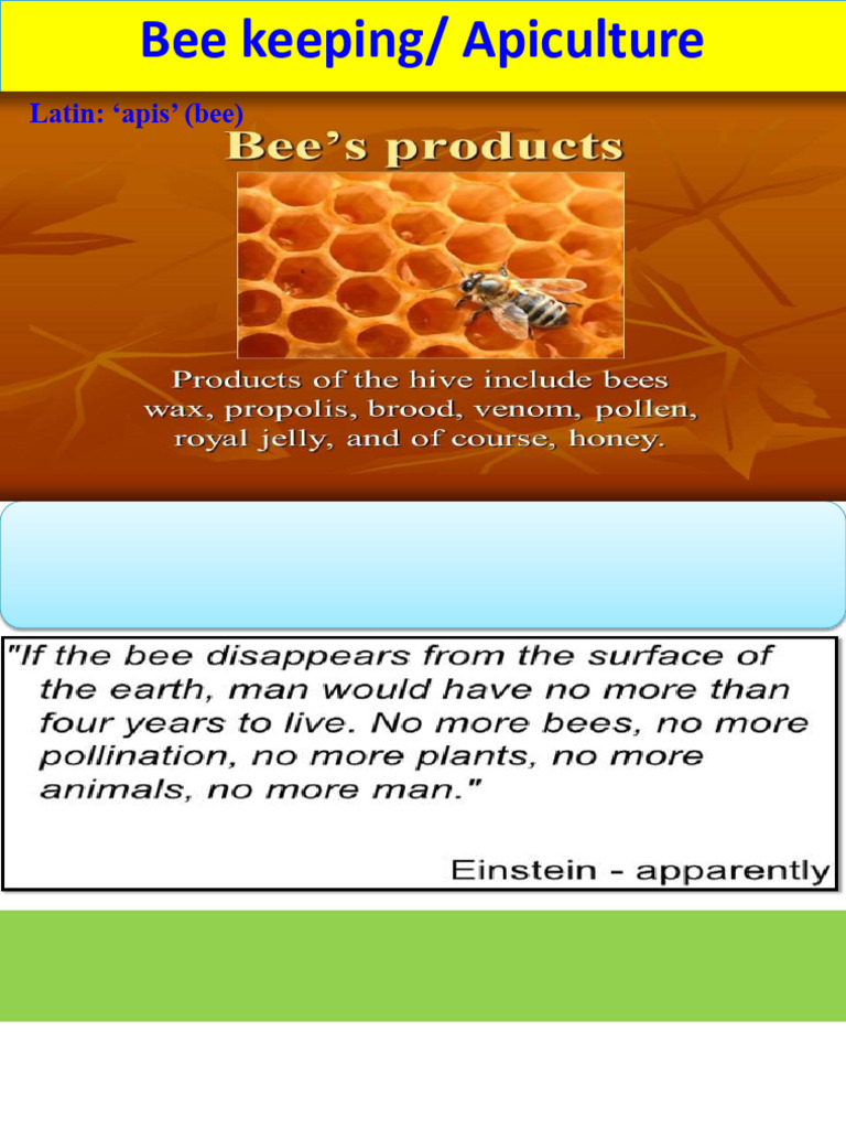 Bee Keeping Practical-YVSingh | PDF | Honey Bee | Honey