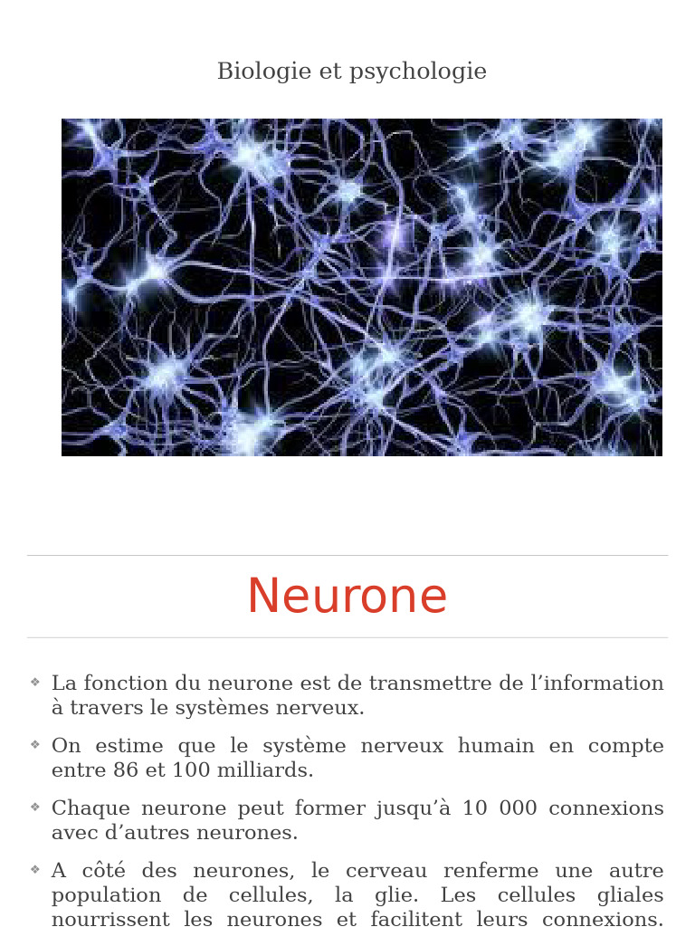 Neurones et neurotransmetteurs en psychologie | PDF | Synapse | Neurone