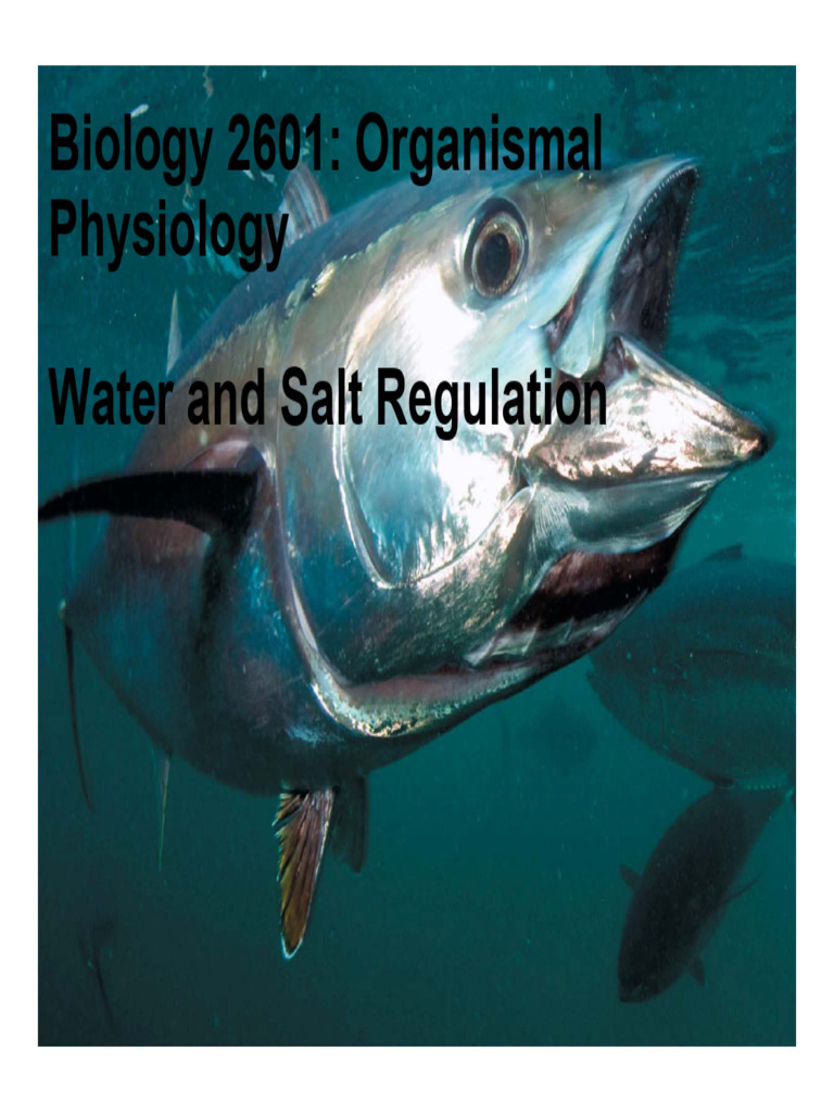 Water and Salt Regulation in Organisms | PDF