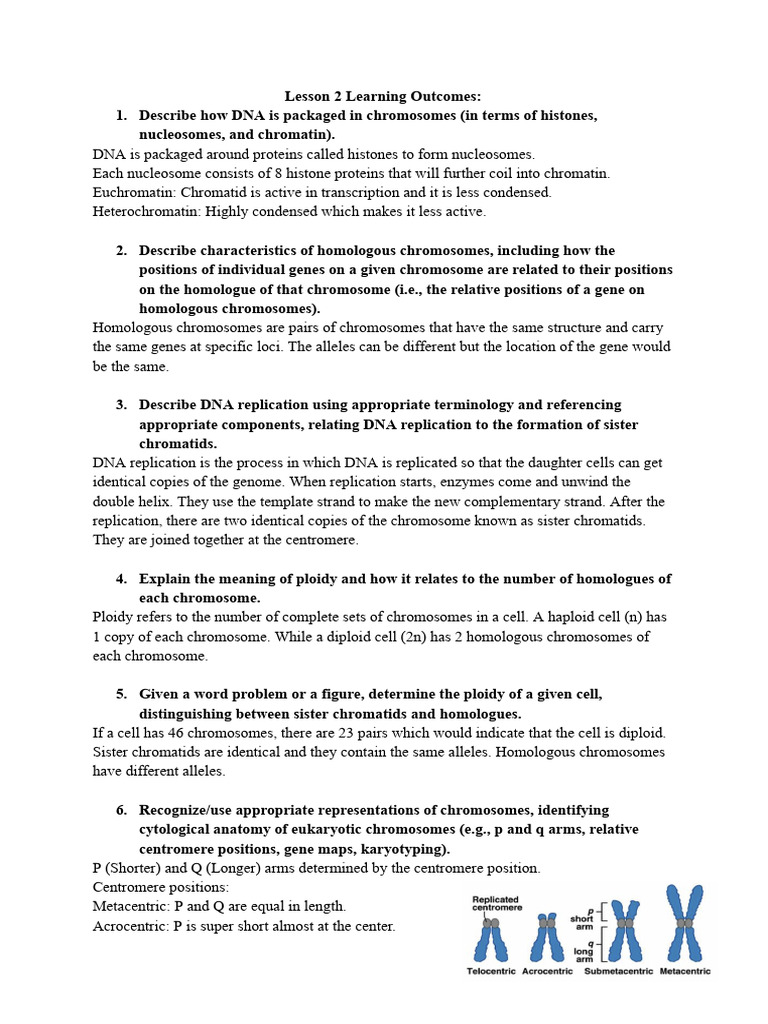 DNA Structure, Replication, and Genetics | PDF | Gene | Messenger Rna