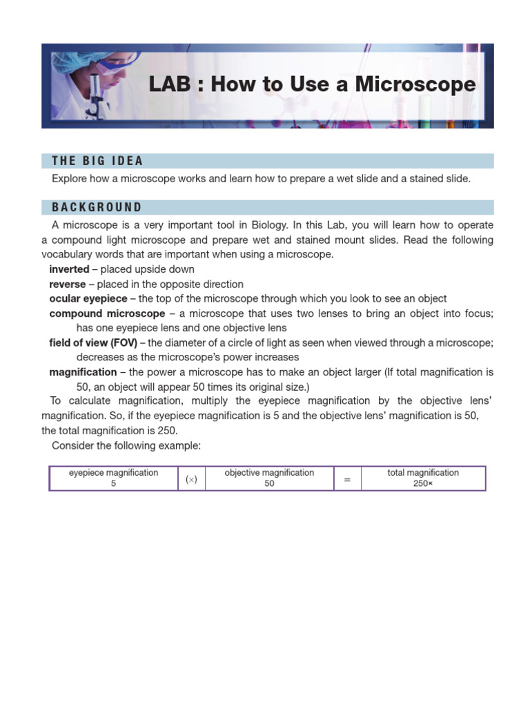Microscope Lab: Slide Preparation Guide | PDF | Lenses | Optics