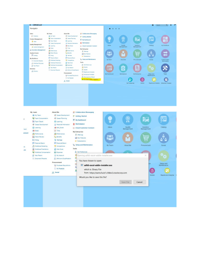 Debugging Receiving Transactions Using the Interface ADFDI | PDF