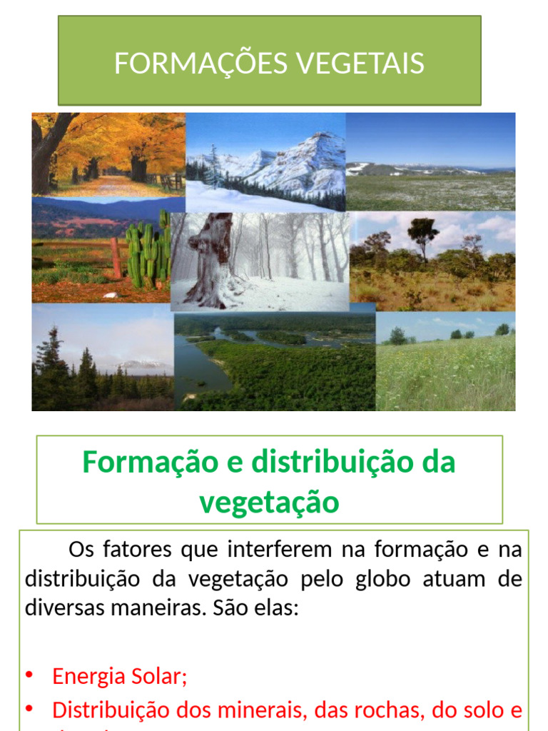 Formações Vegetais e Seus Ecossistemas | PDF | Florestas | Savana