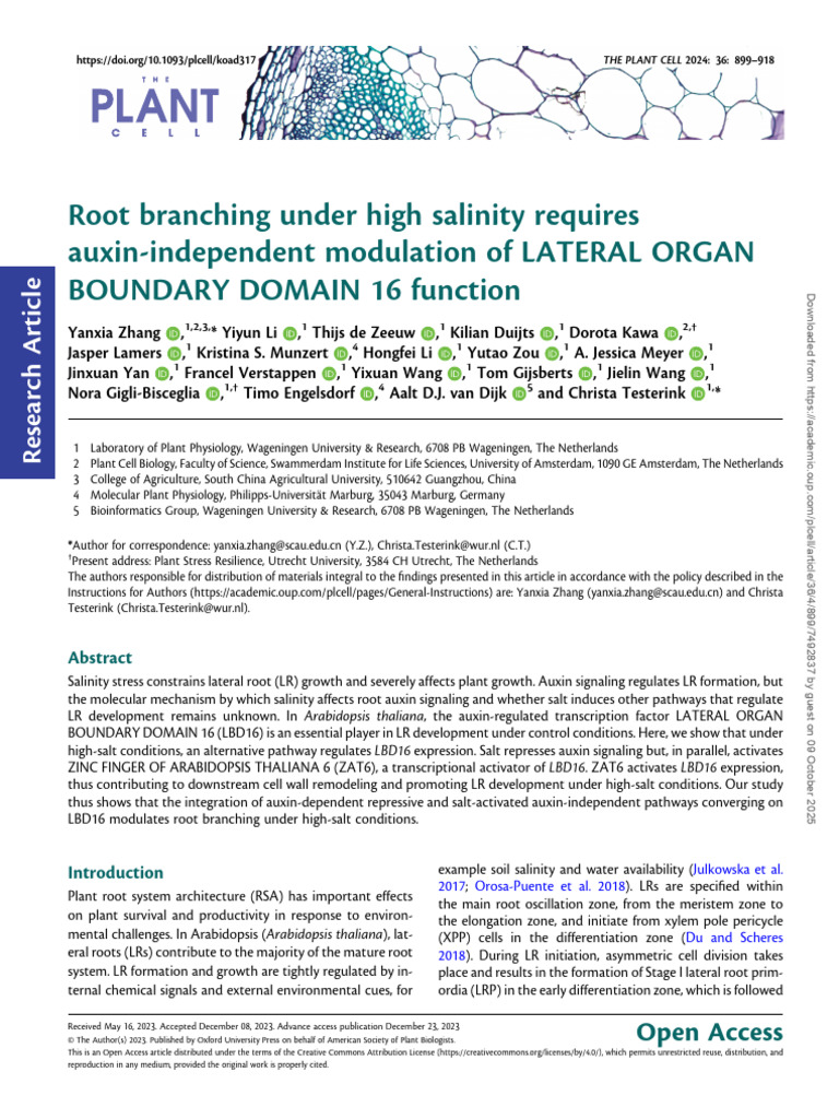 Root Branching Under High Salinity Requires Auxin-Independent ...