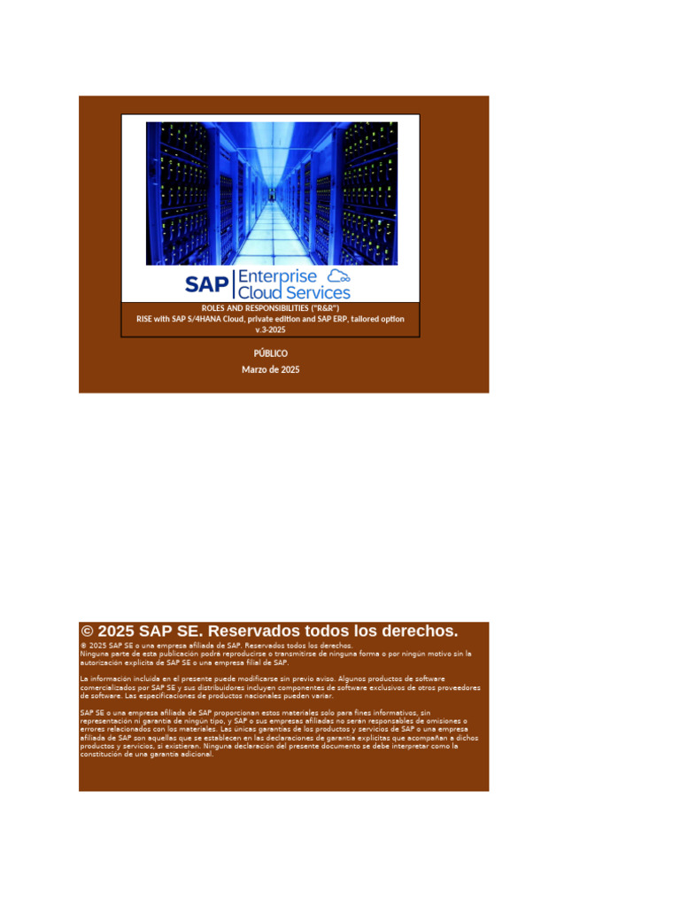 Rise With Sap s4hana Cloud Private Edition and Sap Erp Tailored Option ...