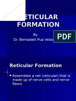 Reticular Lec