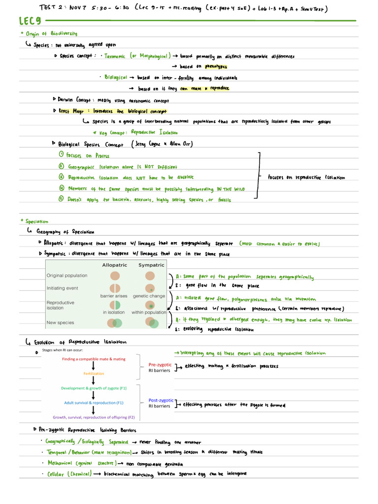 Midterm 2 | PDF