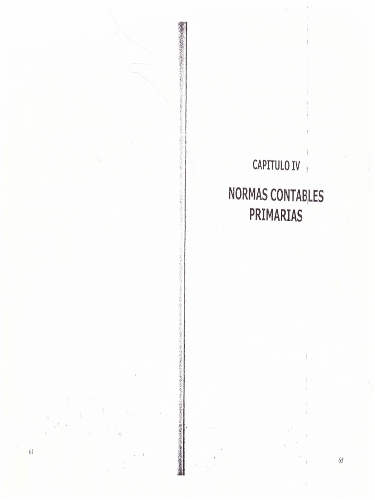 2 Normas Contables Primarias | PDF