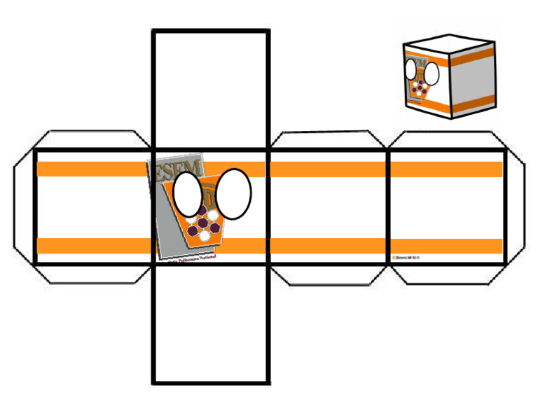 ESFMcube (1) | PDF
