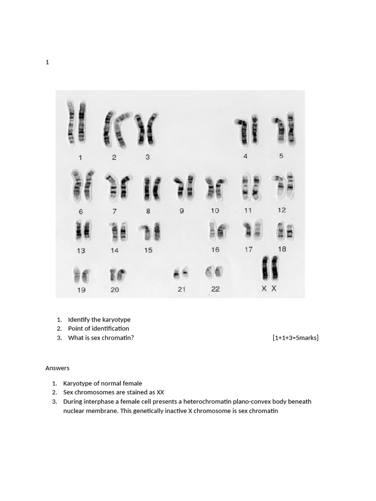 Genetics Charts - 03.08.2024 | PDF | Meiosis | Karyotype