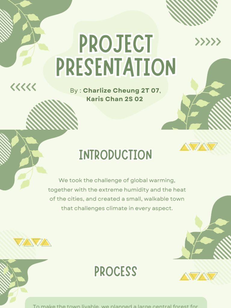 Project Presentation.pdf | PDF