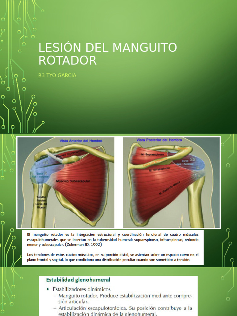Lesión Del Manguito Rotador | PDF | Hombro | Articulaciones