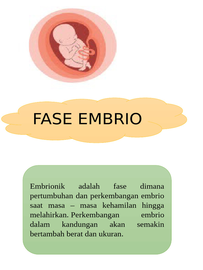 Tahapan Perkembangan Manusia dari Embrio hingga Lansia | PDF