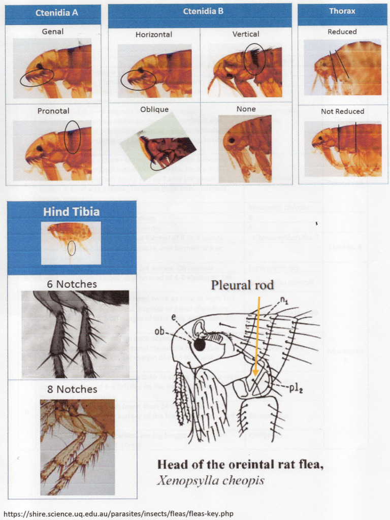 Kunci Pinjal 2 | PDF