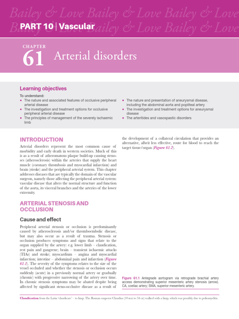 Understanding Peripheral Arterial Disease | PDF | Pulse | Angiography