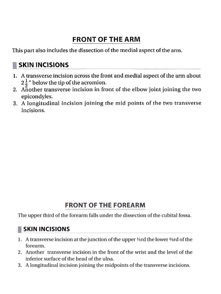 Dissection Board 2 | PDF