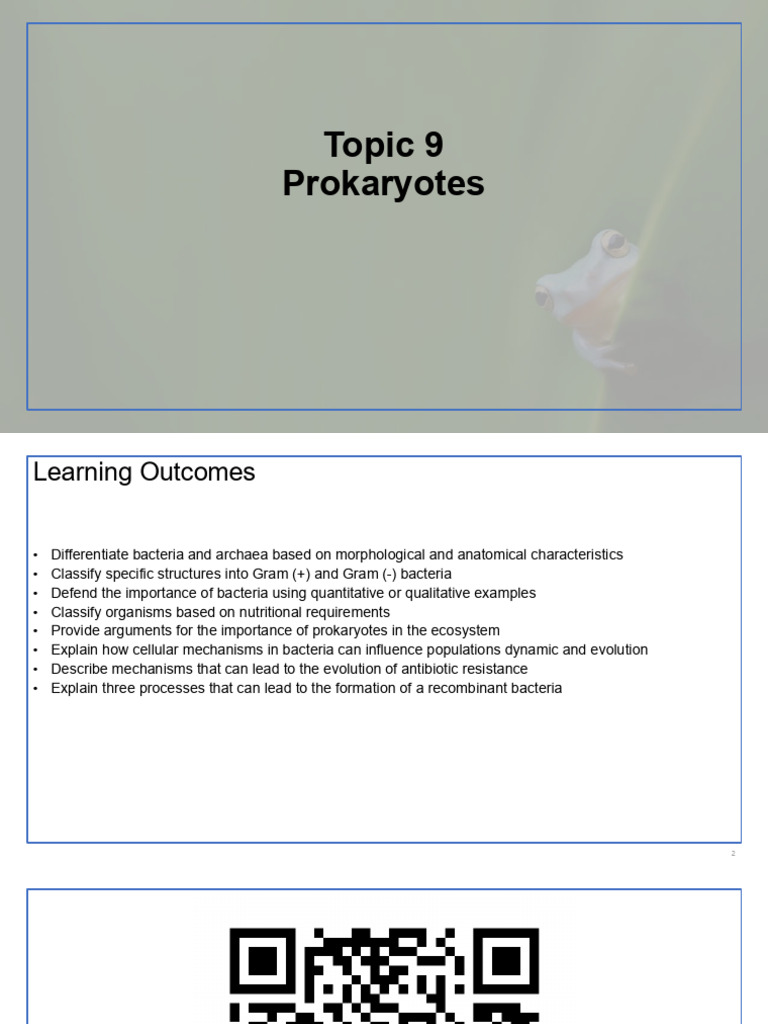 Prokaryotes: Bacteria and Archaea Insights | PDF | Bacteria | Prokaryote