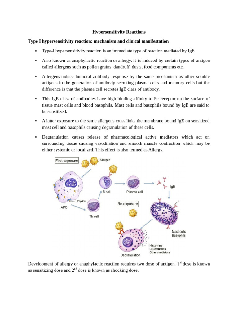 Understanding Hypersensitivity Reactions | PDF | Allergy | Immune System