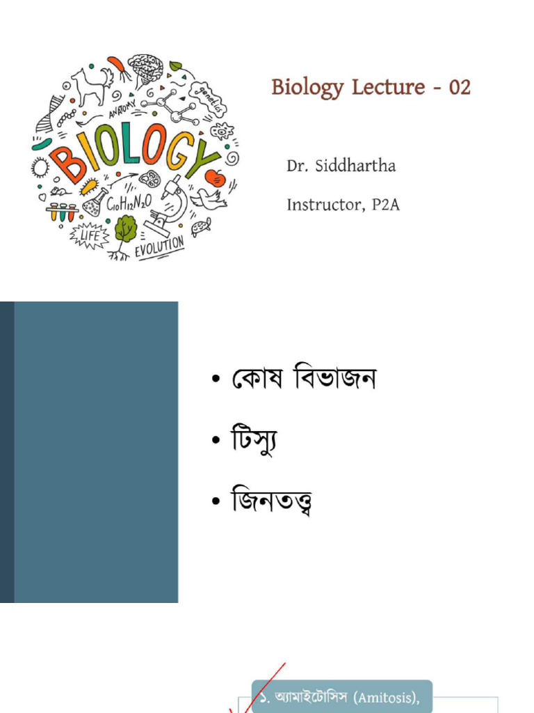 P2A Academy 11 | PDF
