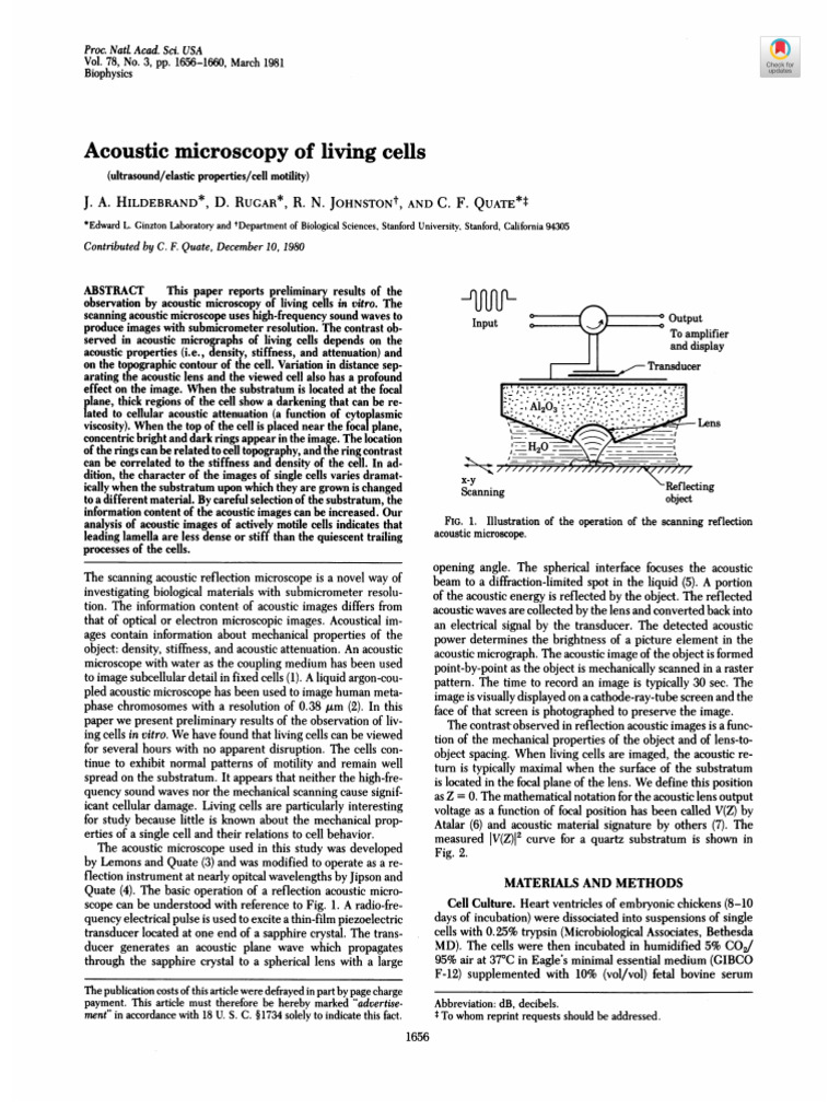 Acoustic Microscopy of Living Cells | PDF | Microscope | Reflection ...