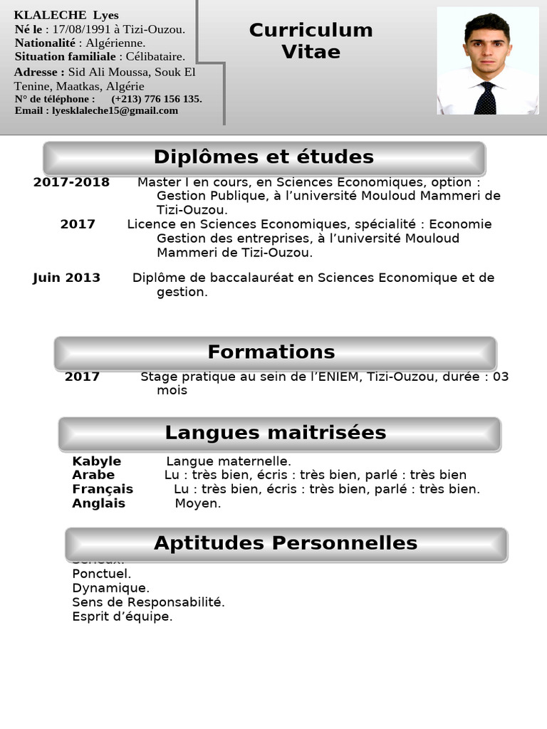 CV de Lyes Klaleche - Économie et Gestion | PDF