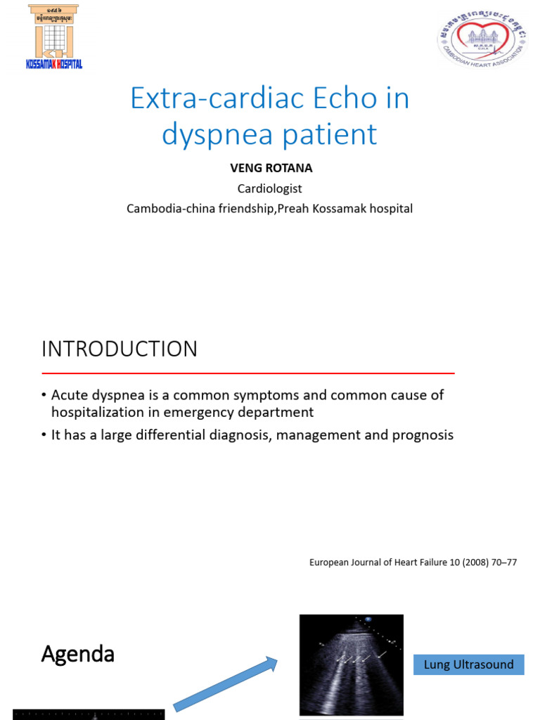 Extra-cardiac Echo for Dyspnea Diagnosis | PDF | Lung | Medical Specialties