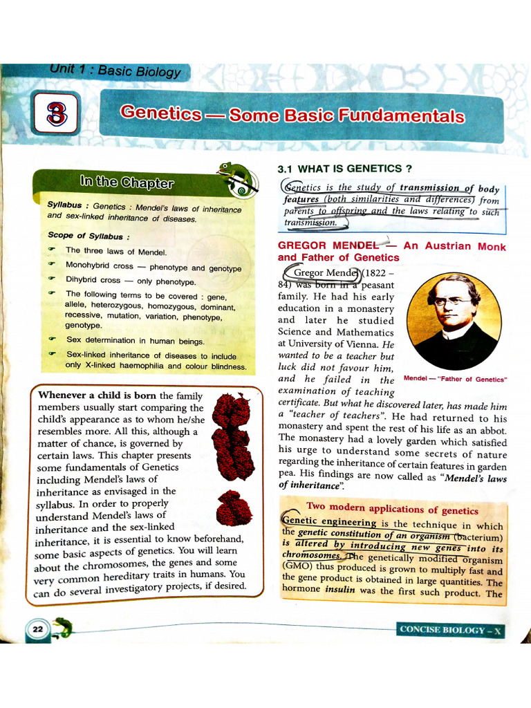 X - Chapter - 3 - Genetics | PDF