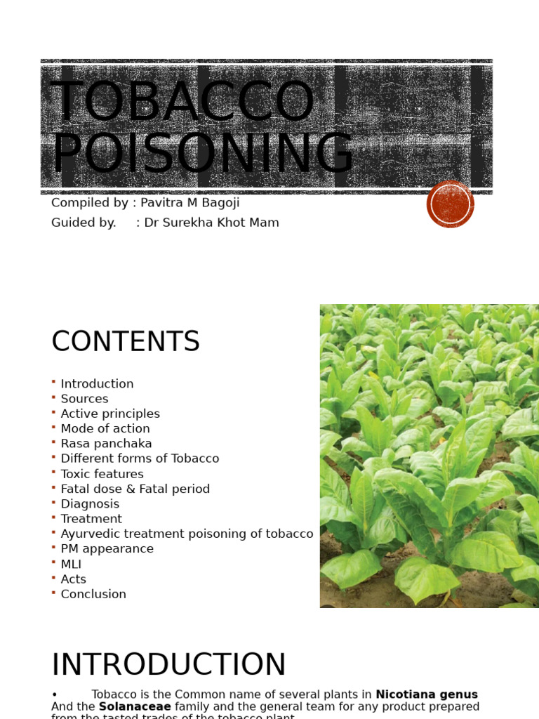 Tobacco Poisoning: Causes and Treatments | PDF | Nicotine | Tobacco