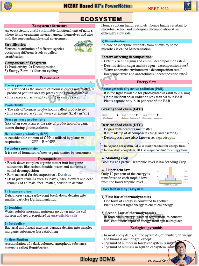 Ecosystem Structure and Dynamics Explained | PDF | Ecosystem | Primary ...